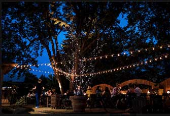 restaurant-terrasse-rive-sud